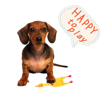 POULE JUREMA BRUYANTE